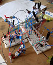IMG 4325
